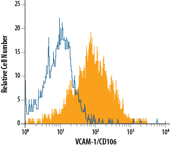 bEnd.3 mouse endothelioma cell line was stained with Rat Anti-Mouse VCAM‑1/CD106 Monoclonal Antibody (Catalog # MAB6432, filled histogram) or isotype control antibody (Catalog # MAB006, open histogram), followed by Allophycocyanin-conjugated Anti-Rat IgG Secondary Antibody (Catalog # F0113).