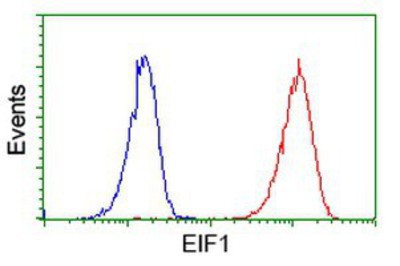 Flow Cytometry: Eukaryotic translation initiation factor 1 Antibody (2B9) [NBP2-00702] - Analysis of Jurkat cells, using anti-Eukaryotic translation initiation factor 1 antibody, (Red), compared to a nonspecific negative control antibody (Blue).