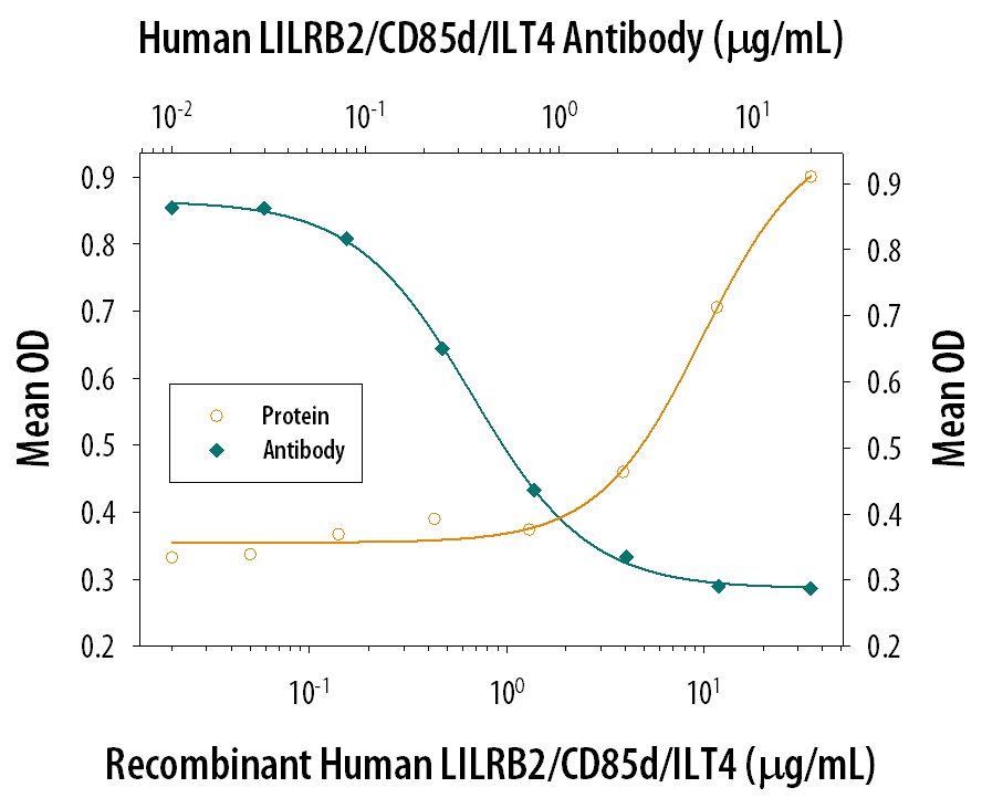 Recombinant Human LILRB2/CD85d/ILT4 Fc Chimera (Catalog # 2078-T4), immobilized onto a microplate, supports the adhesion of the HSB2 human peripheral blood acute lymphoblastic leukemia cell line in a dose-dependent manner (orange line). Adhesion elicited by Recombinant Human LILRB2/CD85d/ILT4 Fc Chimera (35 µg/mL) is neutralized (green line) by increasing concentrations of Goat Anti-Human LILRB2/CD85d/ILT4 Antigen Affinity-purified Polyclonal Antibody (Catalog # AF2078). The ND50 is typically 0.3-1.0 µg/mL.