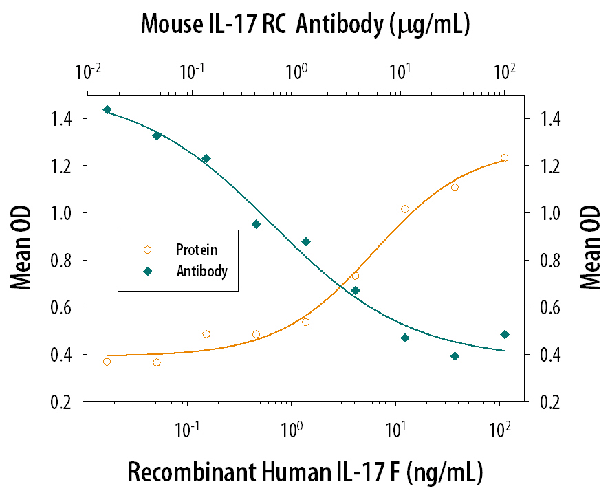 Recombinant Human IL‑17F (Catalog # 1335-INS) stimulates IL‑6 secretion in the NIH‑3T3 mouse embryonic fibroblast cell line in a dose-dependent manner (orange line), as measured by the Mouse IL‑6 Quantikine ELISA Kit (Catalog # M6000B). IL‑6 secre­tion elicited by Recombinant Human IL‑17F (100 ng/mL) is neutralized (green line) by increasing concentrations of Goat Anti-Mouse IL‑17 RC Antigen Affinity-purified Polyclonal Antibody (Catalog # AF2270). The ND50 is typically 0.6-3.6 µg/mL.