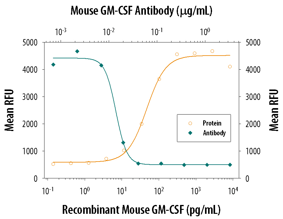 Recombinant Mouse GM‑CSF (Catalog # 415-ML) stimulates proliferation in the DA3 mouse myeloma cell line in a dose-dependent manner (orange line). Proliferation elicited by Recombinant Mouse GM‑CSF (0.75 ng/mL) is neutralized (green line) by increasing concentrations of Goat Anti-Mouse GM‑CSF Antigen Affinity-purified Polyclonal Antibody (Catalog # AF‑415‑NA). The ND50 is typically 0.01‑0.03 µg/mL.