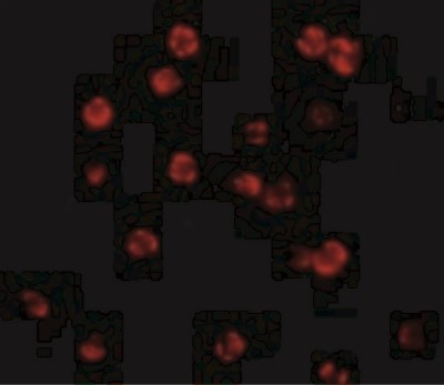 Immunocytochemistry/Immunofluorescence: FLIP Antibody [NBP1-77016] - Immunofluorescence of FLIP in HeLa cells with FLIP antibody at 20 ug/mL.
