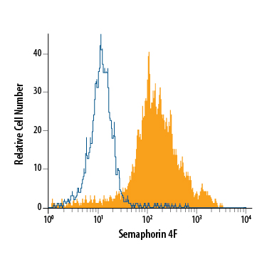 Mouse cortical stem cells were stained with Rat Anti-Mouse Semaphorin 4F Monoclonal Antibody (Catalog # MAB7200, filled histogram) or isotype control antibody (Catalog # MAB006, open histogram), followed by Allophycocyanin-conjugated Anti-Rat IgG Secondary Antibody (Catalog # F0113).