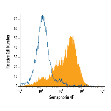 bEnd.3 mouse endothelioma cell line was stained with Rat Anti-Mouse Semaphorin 4F Monoclonal Antibody (Catalog # MAB7200, filled histogram) or isotype control antibody (Catalog # MAB006, open histogram), followed by Allophycocyanin-conjugated Anti-Rat IgG Secondary Antibody (Catalog # F0113).