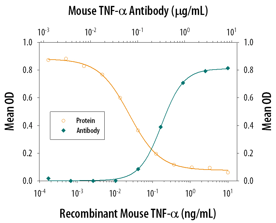 Recombinant Mouse TNF‑ alpha  (Catalog # 410-MT) induces cytotoxicity in the the L‑929 mouse fibroblast cell line in a dose-dependent manner (orange line), as measured by crystal violet staining. Cytotoxicity elicited by Recombinant Mouse TNF‑ alpha  (0.25 ng/mL) is neutralized (green line) by increasing concentrations of Mouse TNF‑ alpha  Polyclonal Antibody (Catalog # AB-410-NA). The ND50 is typically 0.2-0.6 µg/mL in the presence of the metabolic inhibitor actinomycin D (1 µg/mL).