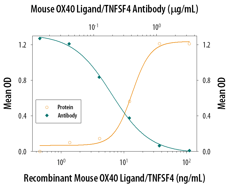 In the presence of a cross-linking antibody, Mouse polyHistidine Monoclonal Antibody (10 µg/mL, Catalog # MAB050) and sub-optimal amounts of Mouse CD3 epsilon  Monoclonal Antibody (Catalog # MAB484), Recombinant Mouse OX40 Ligand/TNFSF4 (Catalog # 1236-OX) stimulates IL‑2 secretion in mouse T cells in a dose-dependent manner (orange line), as measured by the Mouse IL‑2 Quantikine ELISA Kit (Catalog # M2000). Under these conditions, IL‑2 secretion elicited by Recombinant Mouse OX40 Ligand/TNFSF4 (30 ng/mL) is neutralized (green line) by increasing concentrations of Mouse OX40 Ligand/TNFSF4 Antigen Affinity-purified Polyclonal Antibody (Catalog # AF1236). The ND50 is typically 0.2-0.6 µg/mL.