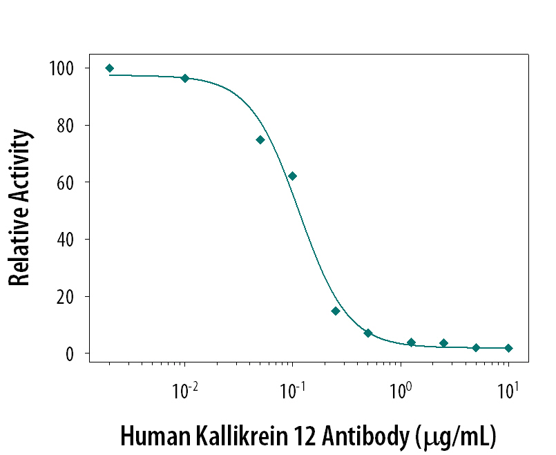 The cleavage of Boc-VPR-AMC (0.1 mM, Catalog # ES011) by Recombinant Human Kallikrein 12 (0.1 µg/mL, Catalog # 3095-SE) is measured after preincubation with increasing concentrations of Human Kallikrein 12 Monoclonal Antibody (Catalog # MAB40341). The ND50 is typically 0.1 µg/mL.