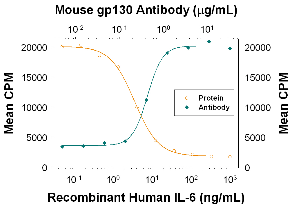 Recombinant Human IL‑6 (Catalog # 206-IL) inhibits proliferation in the the M1 mouse myeloid leukemia cell line in a dose-dependent manner (orange line). Activity elicited by Recombinant Human IL‑6 (20 ng/mL) is neutralized (green line) by increasing concentrations of Goat Anti-Mouse gp130 Antigen Affinity-purified Polyclonal Antibody (Catalog # AF468). The ND50 is typically 0.3-1.0 µg/mL.
