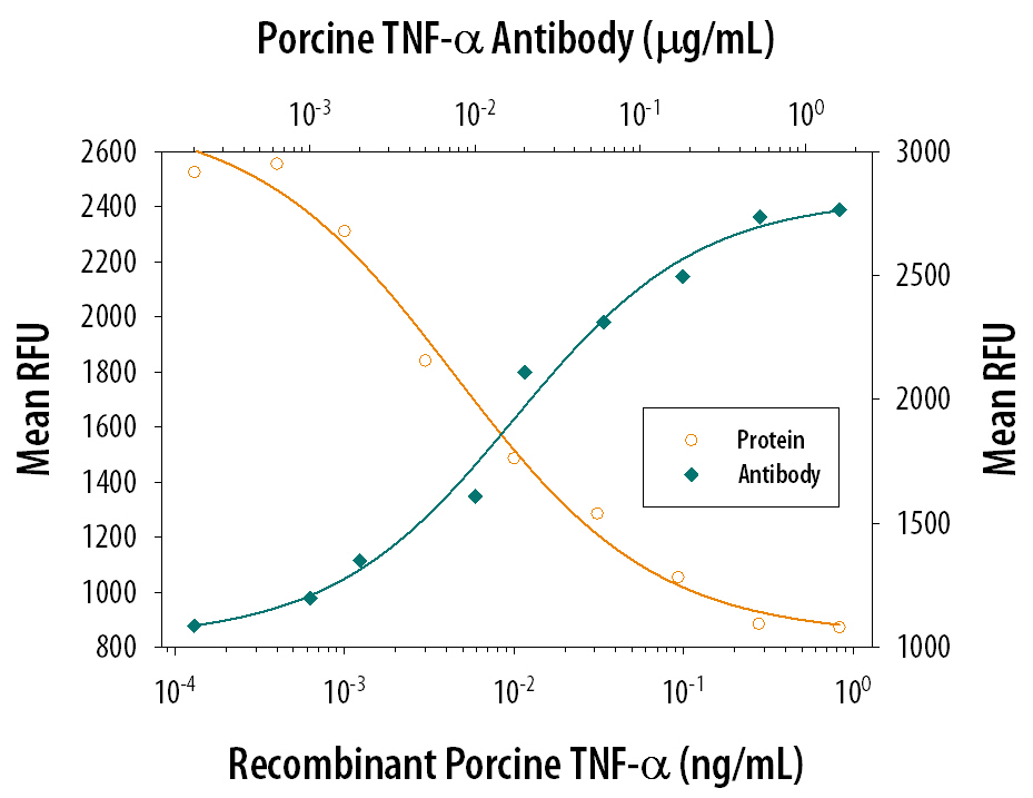 Recombinant Porcine TNF‑ alpha  (Catalog #690‑PT) induces cytotoxicity in the the PK‑15 porcine kidney epithelial cell line in a dose-dependent manner (orange line). Cytotoxicity elicited by Recombinant Porcine TNF‑ alpha  (0.05 ng/mL) is neutralized (green line) by increasing concentrations of Mouse Anti-Porcine TNF‑ alpha  Monoclonal Antibody (Catalog # MAB6903). The ND50 is typically0.005-0.02 µg/mL in the presence of the metabolic inhibitor actinomycin D (1 µg/mL).