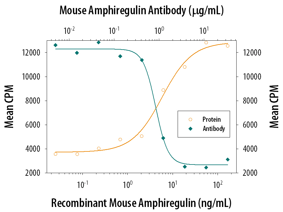 Recombinant Mouse Amphiregulin (Catalog # 989‑AR) stimulates proliferation in the Balb/3T3 mouse embryonic fibroblast cell line in a dose-dependent manner (orange line). Proliferation elicited by Recombinant Mouse Amphiregulin (50 ng/mL) is neutralized (green line) by increasing concentrations of Mouse Amphiregulin Antigen Affinity-purified Polyclonal Antibody (Catalog # AF989). The ND50 is typically 0.3-1.5 µg/mL.