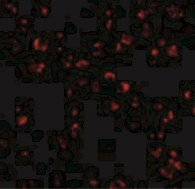Immunofluorescence: IL-23A/IL-23 P19 Antibody [NBP1-77257] - Immunofluorescence of IL-23 in Raji cells with IL-23 antibody at 20 ug/mL.