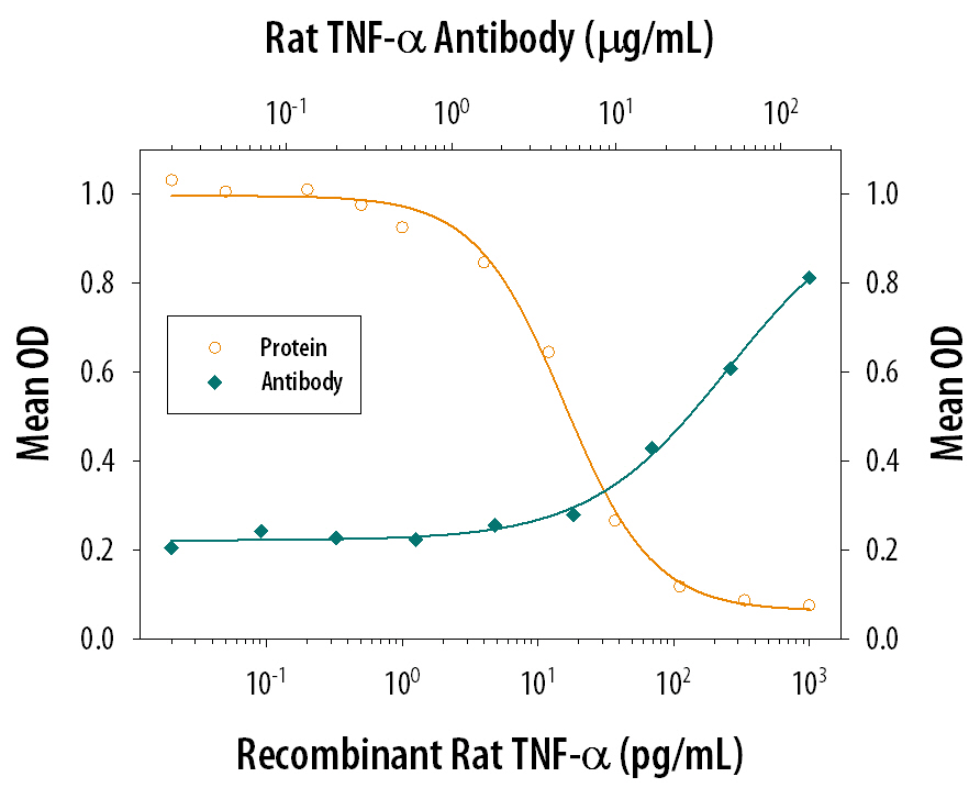 Recombinant Rat TNF‑ alpha  (Catalog # 510-RT) induces cytotoxicity in the the L‑929 mouse fibroblast cell line in a dose-dependent manner (orange line), as measured by crystal violet staining. Cytotoxicity elicited by Recombinant Rat TNF‑ alpha  (0.025 ng/mL) is neutralized (green line) by increasing concentrations of Rat TNF‑ alpha  Monoclonal Antibody (Catalog # MAB510). The ND50 is typically 10-40 µg/mL in the presence of the metabolic inhibitor actinomycin D (1 µg/mL).