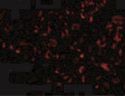 Immunocytochemistry/Immunofluorescence: Albumin Antibody [NBP1-77027] - Staining of Albumin in mouse liver tissue with Albumin antibody at 20 ug/ml.