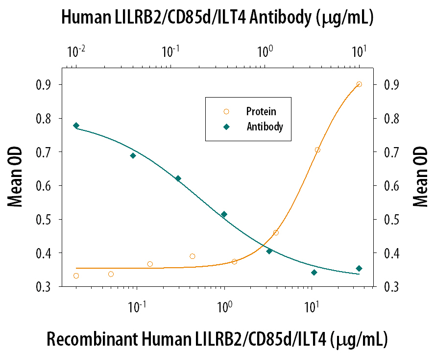 Recombinant Human LILRB2/CD85d/ILT4 Fc Chimera (Catalog # 2078-T4), immobilized onto a microplate, supports the adhesion of the HSB2 human peripheral blood acute lymphoblastic leukemia cell line in a dose-dependent manner (orange line). Adhesion elicited by Recombinant Human LILRB2/CD85d/ILT4 Fc Chimera (35 µg/mL) is neutralized (green line) by increasing concentrations of Mouse Anti-Human LILRB2/CD85d/ILT4 Monoclonal Antibody (Catalog # MAB2078). The ND50 is typically0.2-0.8 µg/mL.