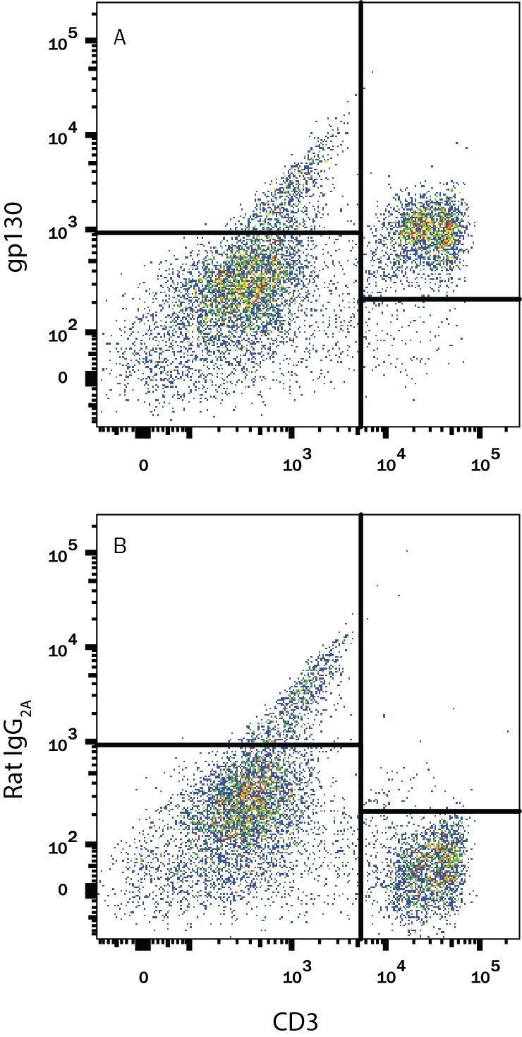 Mouse splenocytes were stained with Rat Anti-Mouse CD3 PE‑conjugated Monoclonal Antibody (Catalog # FAB4841P) and either (A) Rat Anti-Mouse gp130 Monoclonal Antibody (Catalog # MAB4681) or (B) Rat IgG2A Isotype Control (Catalog # MAB006) followed by Allophycocyanin-conjugated Anti-Rat IgG Secondary Antibody (Catalog # F0113). View our protocol for Staining Membrane-associated Proteins.
