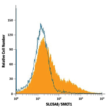 MCF‑7 human breast cancer cell line was stained with Mouse Anti-Human SLC5A8/SMCT1 Monoclonal Antibody (Catalog # MAB8398, filled histogram) or isotype control antibody (Catalog # MAB002, open histogram), followed by Allophycocyanin-conjugated Anti-Mouse IgG Secondary Antibody (Catalog # F0101B).