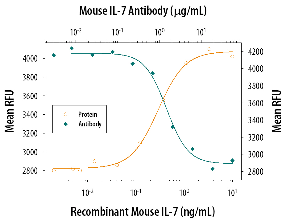 Recombinant Mouse IL‑7 (Catalog # 407-ML) stimulates proliferation in PHA-activated human peripheral blood mononuclear cells (PBMC) in a dose-dependent manner (orange line). Proliferation elicited by Recombinant Mouse IL‑7 (1.5 ng/mL) is neutralized (green line) by increasing concentrations of Mouse IL‑7 Polyclonal Antibody (Catalog # AB-407-NA). The ND50 is typically 0.5-1.5 µg/mL.