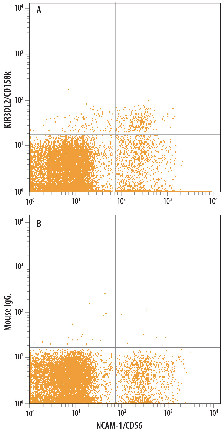 Human peripheral blood lymphocytes were stained with Mouse Anti-Human NCAM‑1/CD56 PE-conjugated Monoclonal Antibody (Catalog # FAB2408P) and either (A) Mouse Anti-Human KIR3DL2/CD158k Monoclonal Antibody (Catalog # MAB2878) or (B) Mouse IgG1 Isotype Control (Catalog # MAB002) followed by Allophycocyanin-conjugated Anti-Mouse IgG Secondary Antibody (Catalog # F0101B).