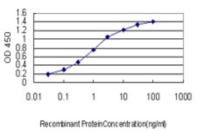 Sandwich ELISA: C21orf33 Antibody (1F5) [H00008209-M01] - Detection limit for recombinant GST tagged C21orf33 is approximately 0.03ng/ml as a capture antibody.