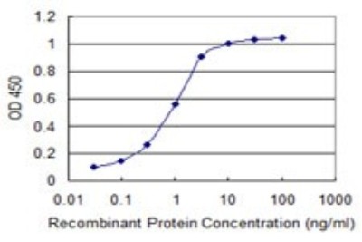 Sandwich ELISA: Acetyl-coenzyme A transporter 1 Antibody (3A4) [H00009197-M07] - Detection limit for recombinant GST tagged SLC33A1 is 0.03 ng/ml as a capture antibody.