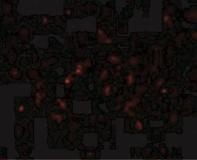 Immunocytochemistry/Immunofluorescence: Glutathione S-Transferase pi 1/GSTP1 Antibody [NBP1-76857] - Immunofluorescence of GSTP1 in Human Lung cells with GSTP1 antibody at 20 ug/mL.