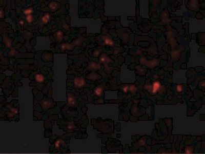 Immunocytochemistry/Immunofluorescence: p53 AIP1 Antibody [NBP1-76742] - Immunofluorescence of p53AIP1 in HL60 cells with p53AIP1 antibody at 20 ug/mL.