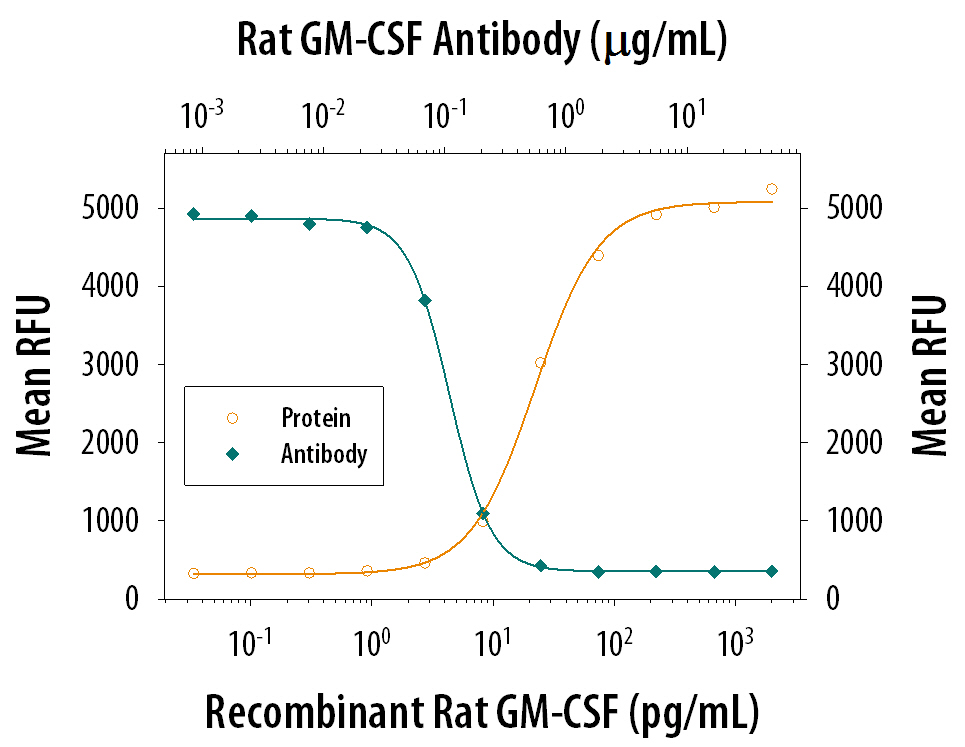 Recombinant Rat GM‑CSF induces proliferation in the DA3 mouse myeloma cell line in a dose-dependent manner (orange line), as measured by the Resazurin (Catalog # AR002). Under these conditions, proliferation elicited by rrGM‑CSF is neutralized (green line) by increasing concentrations of Goat Anti-Rat GM‑CSF Antigen Affinity-purified Polyclonal Antibody (Catalog # AF518). The ND50 is typically 0.1-0.6 ug/mL.
