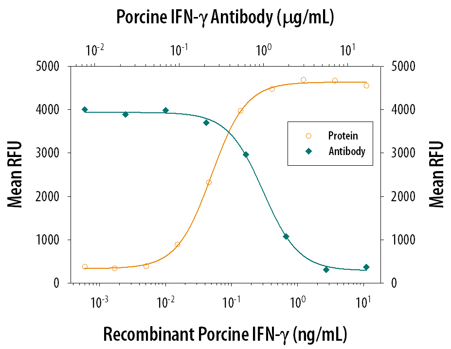 Recombinant Porcine IFN‑ gamma (Catalog # 985-PI) reduces the Encephalomyocarditis Virus (EMCV)-induced cytopathy in the PK‑15 porcine kidney epithelial cell line in a dose-dependent manner (orange line), as measured by Resazurin (Catalog # AR002). Inhibition of EMCV activity elicited by Recombinant Porcine IFN‑ gamma (0.2 ng/mL) is neutralized (green line) by increasing concentrations of Goat Anti-Porcine IFN‑ gamma Antigen Affinity-purified Polyclonal Antibody (Catalog # AF985). The ND50 is typically 0.6-3.0 µg/mL.
