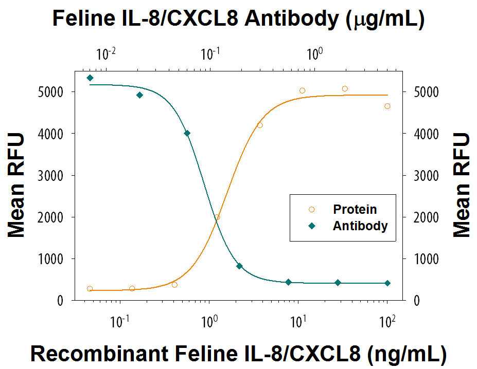 Recombinant Feline CXCL8/IL-8 (Catalog # 2277-FL) chemoattracts the BaF3 mouse pro‑B cell line transfected with human CXCR2 in a dose-dependent manner (orange line). The amount of cells that migrated through to the lower chemotaxis chamber was measured by Resazurin (Catalog # AR002). Chemotaxis elicited by Recombinant Feline IL-8/CXCL8 (20 ng/mL) is neutralized (green line) by increasing concentrations of Rat Anti-Feline IL-8/CXCL8 Monoclonal Antibody (Catalog # MAB2277). The ND50 is typically 0.08-0.32 µg/mL.