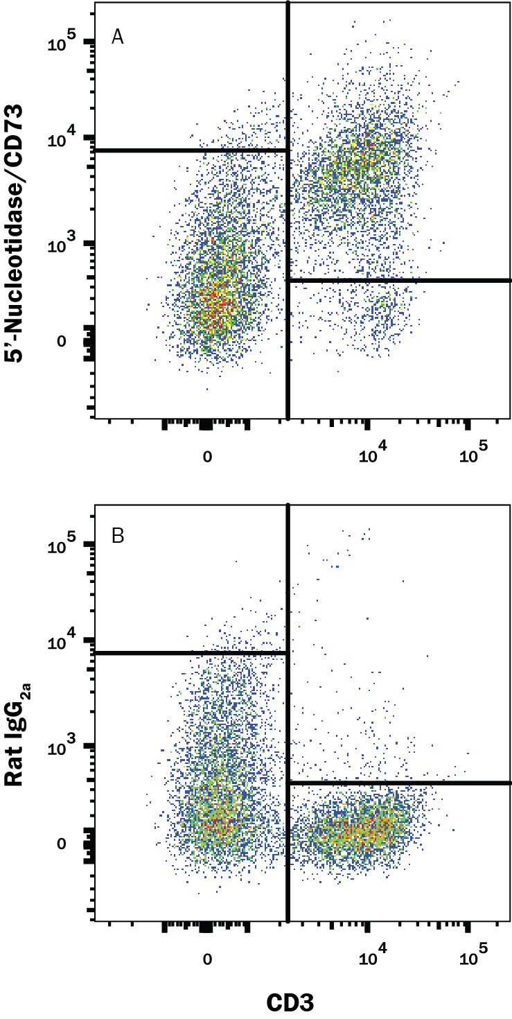 Mouse splenocytes were stained with Rat Anti-Mouse CD3 APC‑conjugated  Monoclonal Antibody (Catalog # FAB4841A)  and either (A) Rat Anti-Mouse 5'‑Nucleotidase/CD73 Monoclonal  Antibody (Catalog # MAB4488) or (B) Rat IgG2A Isotype  Control (Catalog # MAB006) followed by Phycoerythrin-conjugated Anti-Rat IgG F(ab')2 Secondary Antibody (Catalog # F0105B).  View our protocol for Staining  Membrane-associated Proteins.