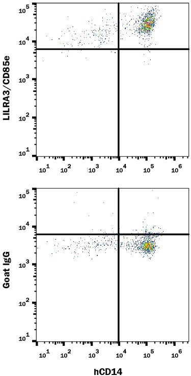 Human peripheral  blood monoctyes were stained with Mouse Anti-Human CD14  APC‑conjugated Monoclonal Antibody (Catalog # FAB3832A)  and either (A) Goat Anti-Human LILRA3/CD85e Antigen Affinity-purified  Polyclonal Antibody (Catalog # AF2574) or (B) Normal Goat IgG Control(Catalog # AB-108-C)  followed by Phycoerythrin-conjugated Anti-Goat IgG Secondary Antibody  (Catalog # F0107).    To facilitate  intracellular staining, cells were fixed with Flow Cytometry Fixation Buffer  (Catalog # FC004)  and permeabilized with Flow Cytometry Permeabilization/Wash Buffer I  (Catalog # FC005).    View our protocol for Staining  Intracellular Molecules.