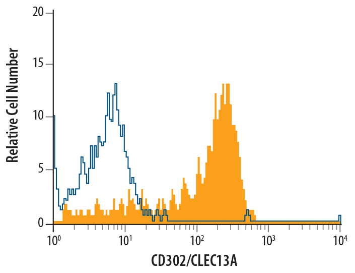 Human peripheral blood monocytes were stained with Mouse Anti-Human CD302/CLEC13A Monoclonal Antibody (Catalog # MAB6367, filled histogram) or isotype control antibody (Catalog # MAB002, open histogram), followed by Allophycocyanin-conjugated Anti-Mouse IgG Secondary Antibody (Catalog # F0101B).
