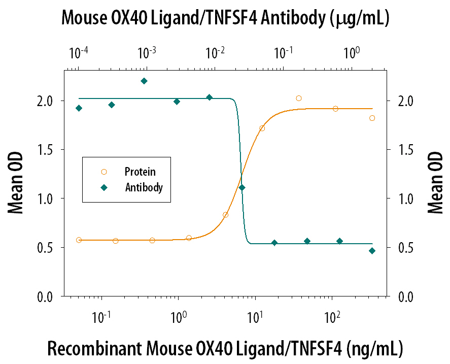 In the presence of a cross-linking antibody, Mouse polyHistidine Monoclonal Antibody (10 µg/mL, Catalog # MAB050) and sub-optimal amounts of Mouse CD3 epsilon  Monoclonal Antibody (Catalog # MAB484), Recombinant Mouse OX40 Ligand/TNFSF4 (Catalog # 1236-OX) stimulates IL‑2 secretion in mouse T cells in a dose-dependent manner (orange line), as measured by the Mouse IL‑2 Quantikine ELISA Kit (Catalog # M2000). Under these conditions, IL‑2 secretion elicited by Recombinant Mouse OX40 Ligand/TNFSF4 (30 ng/mL) is neutralized (green line) by increasing concentrations of Rat Anti-Mouse OX40 Ligand/TNFSF4 Monoclonal Antibody (Catalog # MAB1236). The ND50 is typically 0.01-0.05 µg/mL.