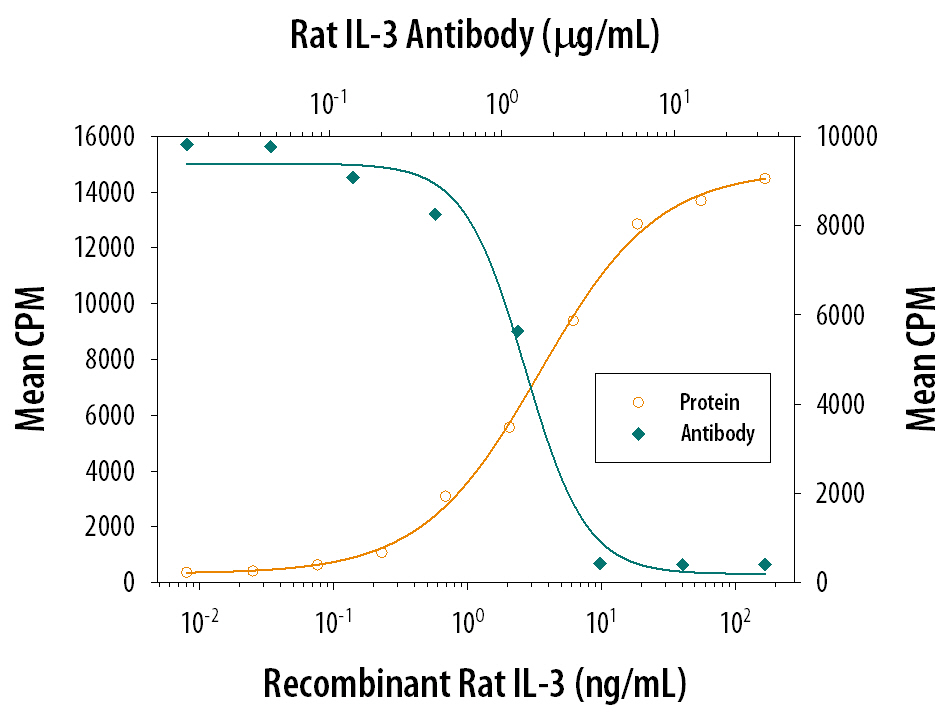 Recombinant Rat IL‑3 (Catalog # 2524-RL) stimulates proliferation in the M‑NFS‑60 mouse myelogenous leukemia lymphoblast cell line in a dose-dependent manner (orange line). Proliferation elicited by Recombinant Rat IL‑3 (0.5 ng/mL) is neutralized (green line) by increasing concentrations of Goat Anti-Rat IL‑3 Antigen Affinity-purified Polyclonal Antibody (Catalog # AF2524). The ND50 is typically 0.75-3 µg/mL.