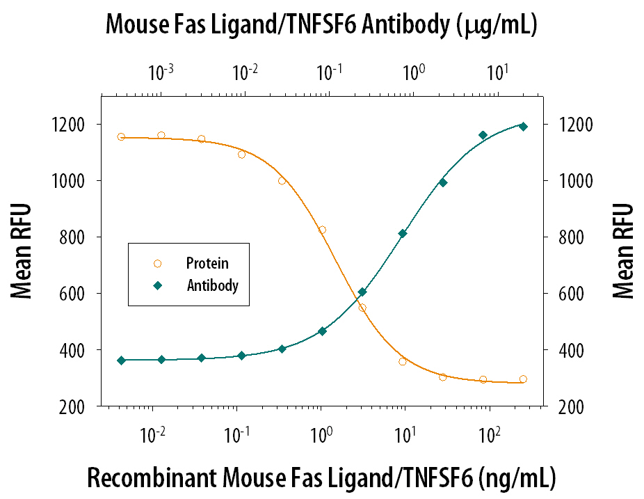 In the presence of a cross-linking antibody, mouse anti-HA Monoclonal Antibody, Recombinant Mouse Fas Ligand/TNFSF6 (Catalog # 6128-SA) induces cytotoxicity in the Jurkat human acute T cell leukemia cell line in a dose-dependent manner (orange line). Under these conditions, cytotoxicity elicited by Recombinant Mouse Fas Ligand/TNFSF6 (10 ng/mL) is neutralized (green line) by increasing concen­trations of Goat Anti-Mouse Fas Ligand/TNFSF6 Antigen Affinity-purified Polyclonal Antibody (Catalog # AF526). The ND50 is typically 0.125‑0.75 µg/mL.