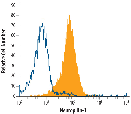 bEnd.3 mouse endothelioma cell line was stained with Rat Anti-Mouse Neuropilin‑1 Monoclonal Antibody (Catalog # MAB5994, filled histogram) or isotype control antibody (Catalog # MAB006, open histogram), followed by Allophycocyanin-conjugated Anti-Rat IgG Secondary Antibody (Catalog # F0113).