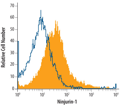 HepG2 human hepatocellular carcinoma cell line was stained with Mouse Anti-Human Ninjurin‑1 Monoclonal Antibody (Catalog # MAB51051, filled histogram) or isotype control antibody (Catalog # MAB002, open histogram), followed by Phycoerythrin-conjugated Anti-Mouse IgG Secondary Antibody (Catalog # F0102B).