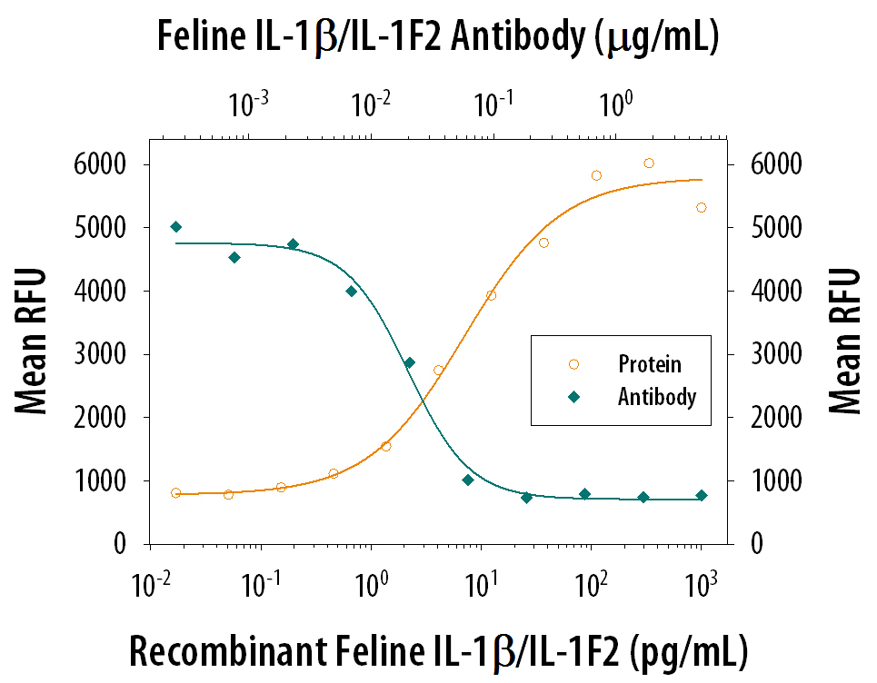 Recombinant Feline IL‑1 beta /IL‑1F2 (Catalog # 1796‑FL) stimulates proliferation in the the D10.G4.1 mouse helper T cell line in a dose-dependent manner (orange line). Proliferation elicited by Recombinant Feline IL‑1 beta /IL‑1F2 (50 pg/mL) is neutralized (green line) by increasing concen­trations of Goat Anti-Feline IL‑1 beta /IL‑1F2 Antigen Affinity-purified Polyclonal Antibody (Catalog # AF1796). The ND50 is typically 0.02‑0.08 µg/mL in the presence of concanavalin A (1.25 µg/mL).