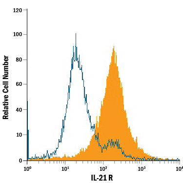 A20 mouse B cell lymphoma cell line was stained with Goat Anti-Mouse IL‑21 R Antigen Affinity-purified Polyclonal Antibody (Catalog # AF596, filled histogram) or isotype control antibody (Catalog # AB-108-C, open histogram), followed by Phycoerythrin-conjugated Anti-Goat IgG Secondary Antibody (Catalog # F0107).