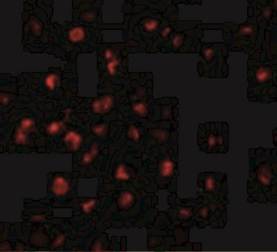 Immunocytochemistry/Immunofluorescence: BIRC8 Antibody [NBP1-76669] - Immunofluorescence of ILP-2 in HepG2 cells with ILP-2 antibody at 20 ug/mL.