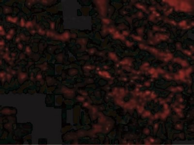 Immunocytochemistry/Immunofluorescence: Livin Antibody [NBP1-76711] - Immunofluorescence of Livin in Human Small Intestine cells with Livin antibody at 20 ug/mL.