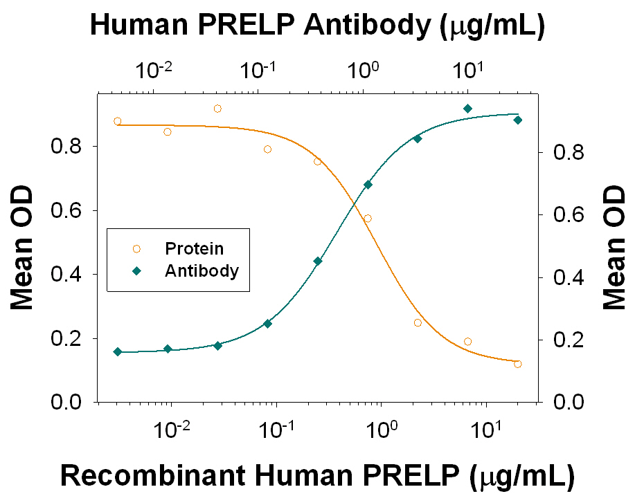 Recombinant Human PRELP (Catalog # 6447-PR) inhibits TRANCE-induced osteoclast differentiation in the RAW 264.7 mouse monocyte/macrophage cell line in a dose-dependent manner (orange line), as measured by the Tartrate-resistant acid phosphatase activity assay. Under these conditions, TRANCE-induced osteoclast differentiation inhibited by Recombinant Human PRELP (5 μg/ml) is neutralized (green line) by increasing concentrations of Mouse Anti-Human PRELP Monoclonal Antibody (Catalog # MAB64471) in the presence of 5 ng/mL Recombinant Mouse TRANCE/TNFSF11/RANK L (Catalog # 462-TEC) and 20 ng/mL Recombinant Mouse M‑CSF (Catalog # 416-ML). The ND50 is typically 0.25‑1.25 μg/mL.