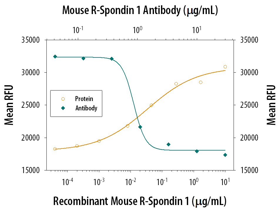 Recombinant Mouse R‑Spondin 1 (Catalog # 7150-RS) co-stimulates  beta -catenin response in the HEK293T human embryonic kidney cell line in a dose-dependent manner (orange line).  beta -Catenin Response elicited by Recombinant Mouse R‑Spondin 1 (500 ng/mL) is neutralized (green line) by increasing concentrations of Rat Anti-Mouse R‑Spondin 1 Mono­clonal Antibody (Catalog # MAB3474) in the presence of 5 ng/mL of Recombinant Mouse Wnt-3a (Catalog # 1324-WN). The ND50 is typically 0.4‑2 μg/mL.