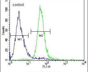 Flow cytometry analysis of A549 cells using a CO039 polyclonal antibody (Product # PA5-23511) (right) compared to a negative control cell (left) at a dilution of 1:10-50, followed by a FITC-conjugated goat anti-rabbit antibody