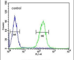 Flow cytometry analysis of K562 cells using a POTEE polyclonal antibody (Product # PA5-23521) (right) compared to a negative control cell (left) at a dilution of 1:10-50, followed by a FITC-conjugated goat anti-rabbit antibody