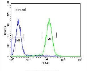 Flow cytometry analysis of K562 cells using a LCE2B polyclonal antibody (Product # PA5-23538) (right) compared to a negative control cell (left) at a dilution of 1:10-50, followed by a FITC-conjugated goat anti-rabbit antibody