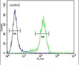 Flow cytometry analysis of Neuro-2a cells using a VWA3B polyclonal antibody (Product # PA5-23810) (right) compared to a negative control cell (left) at a dilution of 1:10-50, followed by a FITC-conjugated goat anti-rabbit antibody