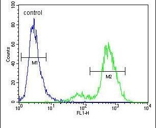 Flow cytometry analysis of MDA-MB231 cells using a SYCE2 polyclonal antibody (Product # PA5-23917) (right) compared to a negative control cell (left) at a dilution of 1:10-50, followed by a FITC-conjugated goat anti-rabbit antibody