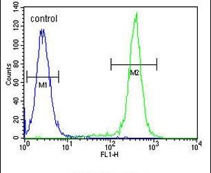 Flow cytometry analysis of CEM cells using a CCDC122 polyclonal antibody (Product # PA5-24342) (right) compared to a negative control cell (left) at a dilution of 1:10-50, followed by a FITC-conjugated goat anti-rabbit antibody