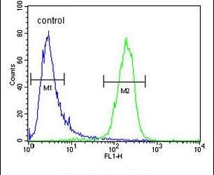 Flow cytometry analysis of K562 cells using a MCART2 polyclonal antibody (Product # PA5-24374) (right) compared to a negative control cell (left) at a dilution of 1:10-50, followed by a FITC-conjugated goat anti-rabbit antibody